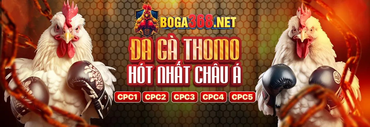 Đá Gà Trực Tuyến GA888VN